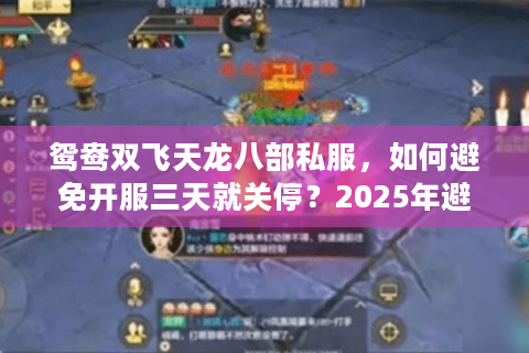 鸳鸯双飞天龙八部私服，如何避免开服三天就关停？2025年避坑指南