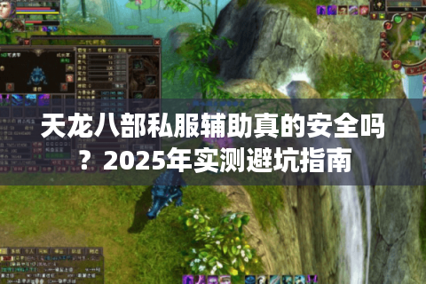 天龙八部私服辅助真的安全吗？2025年实测避坑指南