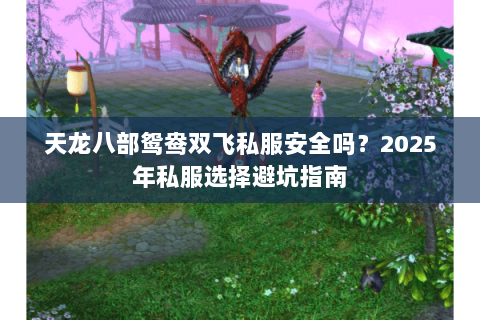 天龙八部鸳鸯双飞私服安全吗？2025年私服选择避坑指南