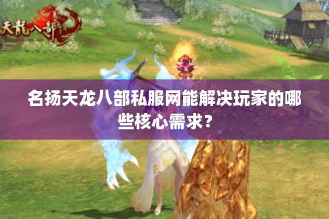 名扬天龙八部私服网能解决玩家的哪些核心需求？