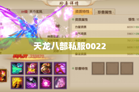 天龙八部私服0022