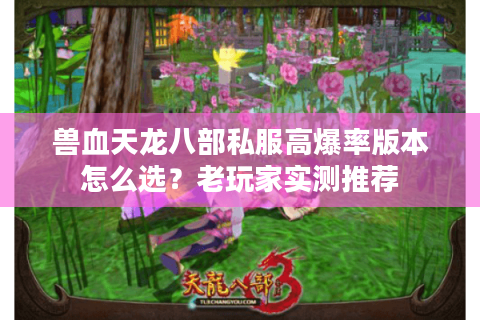 兽血天龙八部私服高爆率版本怎么选？老玩家实测推荐
