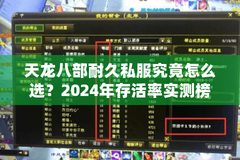 天龙八部耐久私服究竟怎么选？2024年存活率实测榜单出炉