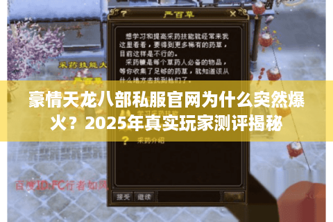 豪情天龙八部私服官网为什么突然爆火？2025年真实玩家测评揭秘