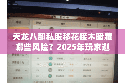 天龙八部私服移花接木暗藏哪些风险？2025年玩家避坑指南