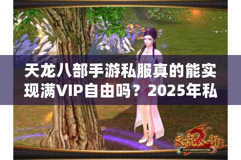 天龙八部手游私服真的能实现满VIP自由吗？2025年私服风险实测报告