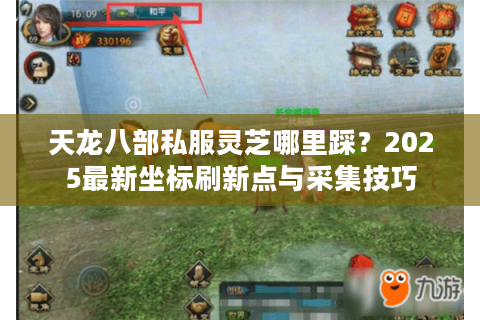 天龙八部私服灵芝哪里踩？2025最新坐标刷新点与采集技巧