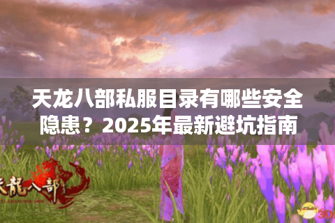 天龙八部私服目录有哪些安全隐患？2025年最新避坑指南