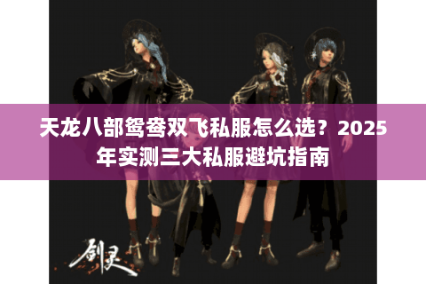 天龙八部鸳鸯双飞私服怎么选？2025年实测三大私服避坑指南