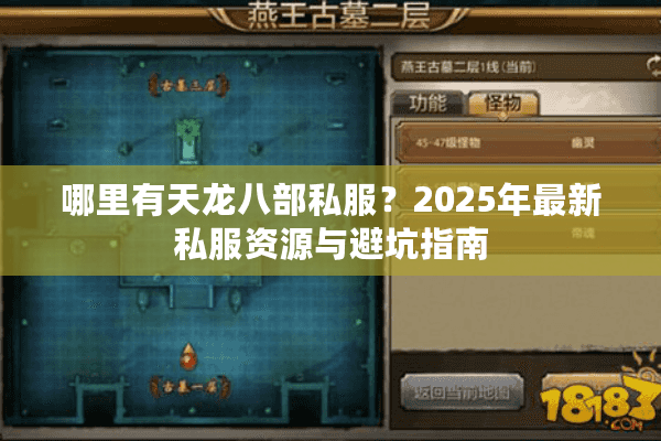 哪里有天龙八部私服？2025年最新私服资源与避坑指南