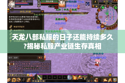 天龙八部私服的日子还能持续多久?揭秘私服产业链生存真相