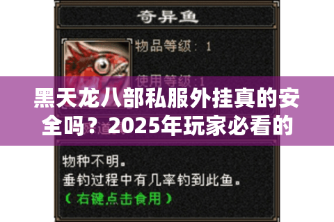 黑天龙八部私服外挂真的安全吗？2025年玩家必看的避坑指南