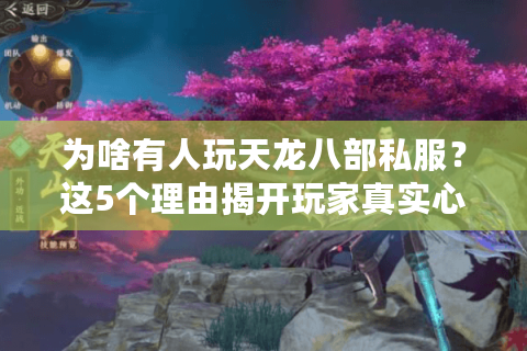 为啥有人玩天龙八部私服？这5个理由揭开玩家真实心理