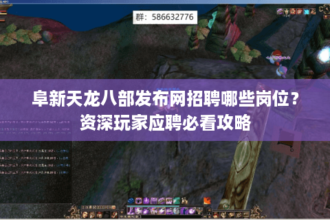 阜新天龙八部发布网招聘哪些岗位？资深玩家应聘必看攻略