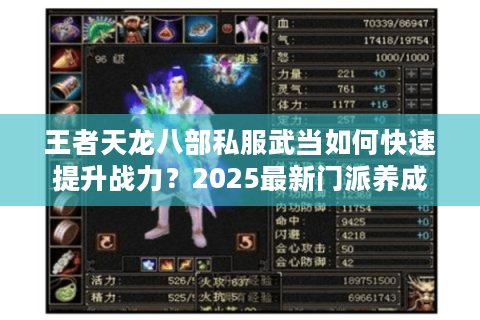 王者天龙八部私服武当如何快速提升战力？2025最新门派养成攻略