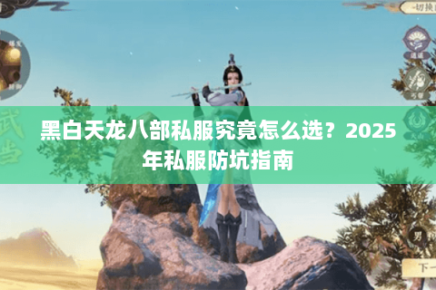 黑白天龙八部私服究竟怎么选？2025年私服防坑指南